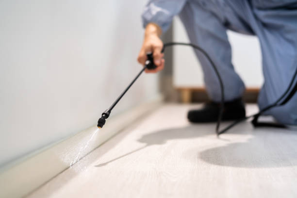 Licensed Fumigation Services service in Grand Junction, CO - Nex Pest Control