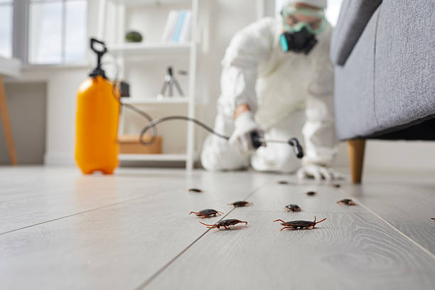 Trusted Termite Control service in Grand Junction, CO - Nex Pest Control