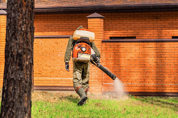 Trusted Bed Bug Control service in Grand Junction, CO - Nex Pest Control